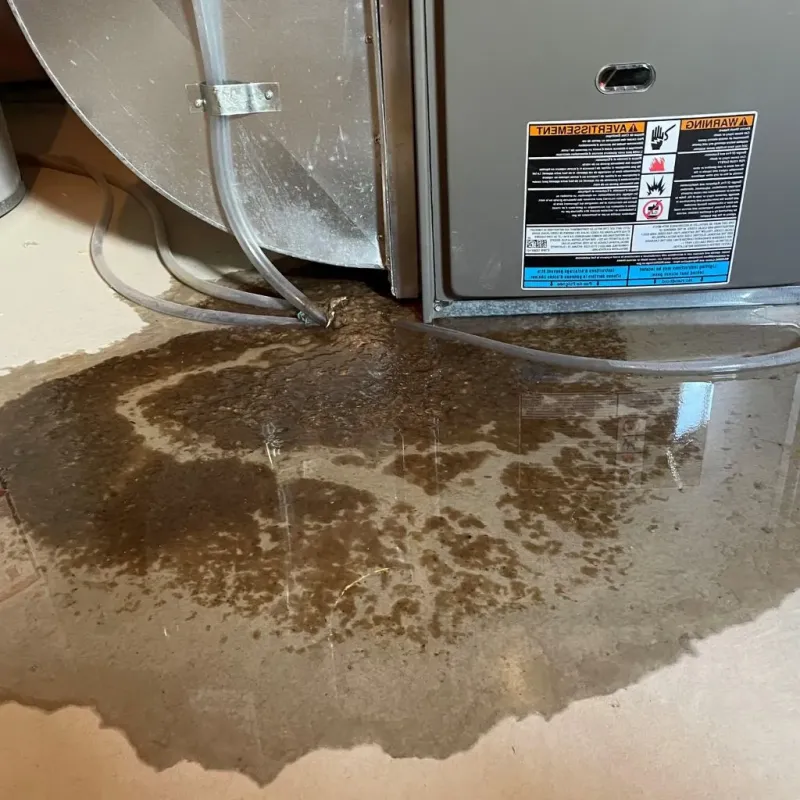 Pipe Burst and Leak Restoration in Clark-Fulton, OH