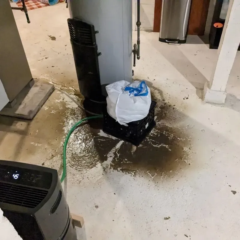 Sewage Backup Cleanup Service in Clark-Fulton, OH